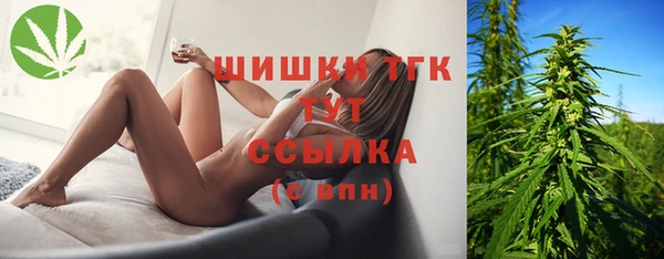 дмт Алексин