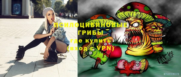 Альфа ПВП Алзамай