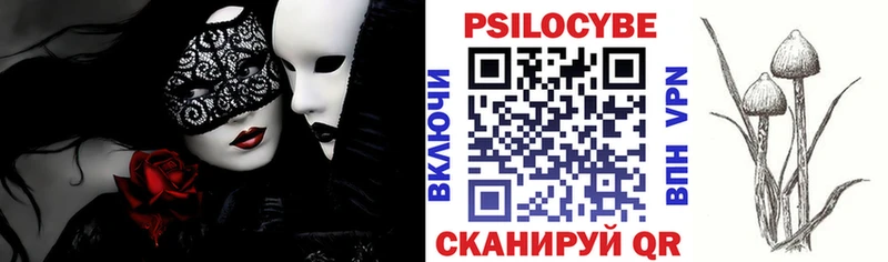 купить наркотик  Черемхово  Псилоцибиновые грибы прущие грибы 